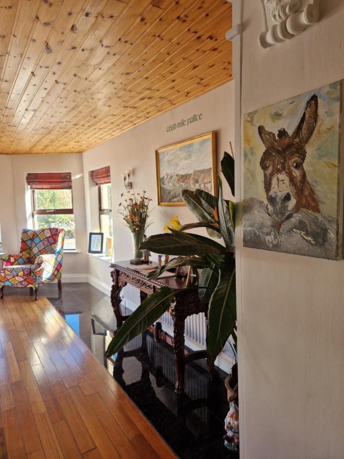 Churchfield B&B 杜林 外观 照片
